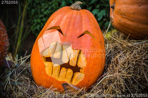 Image of Halloween pumpkin