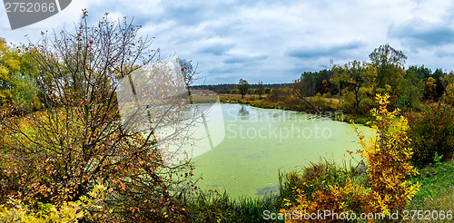 Image of Forest lake in fall. Panorama