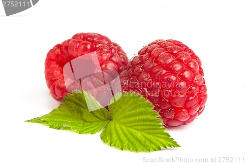 Image of Bunch of a red raspberry on a white background. Close up macro s