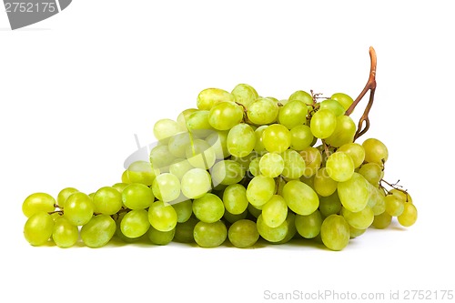 Image of Grape