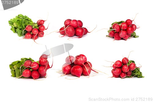 Image of set of bunch of fresh radishes isolated on white