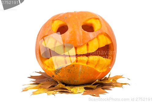 Image of Halloween pumpkin