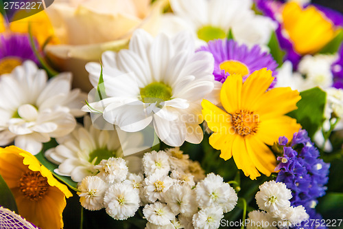 Image of spring flowers background on white background