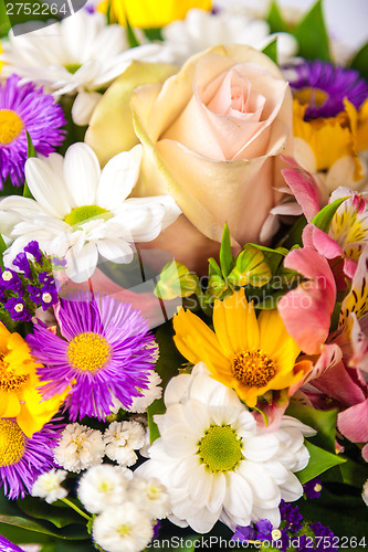Image of spring flowers background on white background