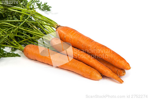 Image of Bunch of fresh carrot isolated on white