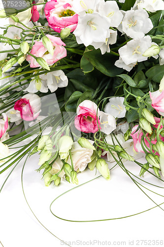 Image of spring flowers background on white background