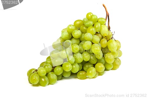 Image of Grape