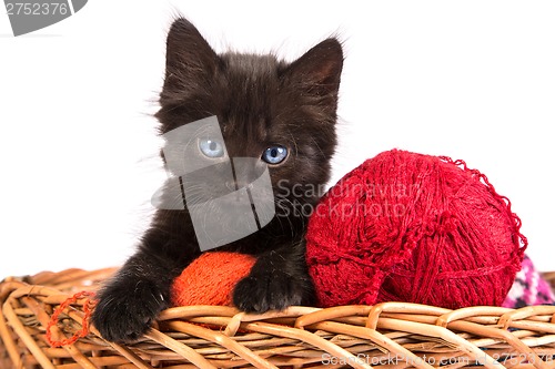 Image of Black kitten playing with a red ball of yarn on white background