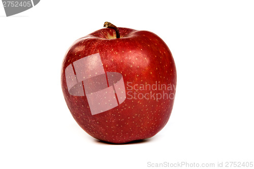 Image of A shiny red apple isolated on white