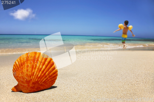 Image of Beach Scene