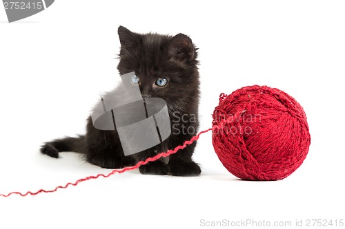 Image of Black kitten playing with a red ball of yarn on white background