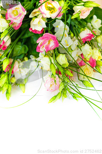 Image of spring flowers background on white background