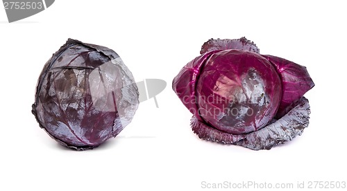 Image of set of Red cabbage on white background.