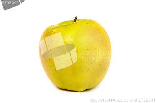 Image of A shiny green apple isolated on white