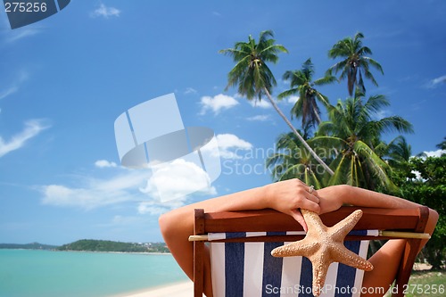 Image of Tropical Sunbather