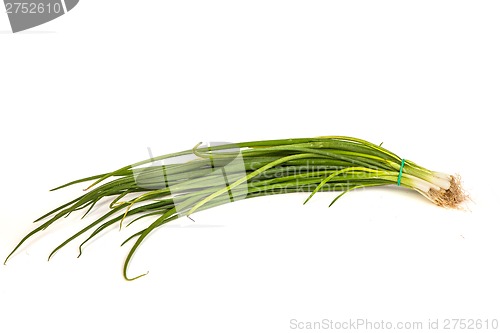 Image of Fresh scallions isolated on white