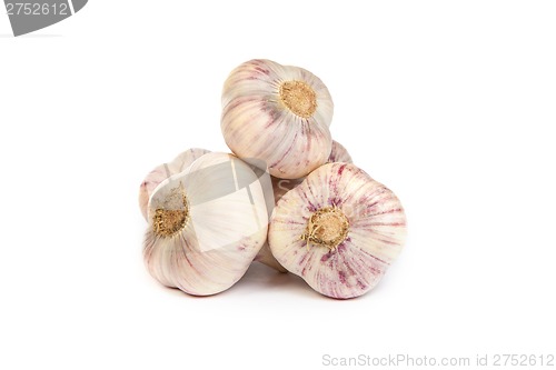 Image of Group of garlics . A heads of garlics isolated