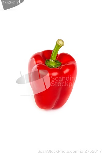 Image of A red bell sweet pepper isolated on white