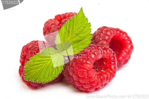 Image of Bunch of a red raspberry on a white background. Close up macro s