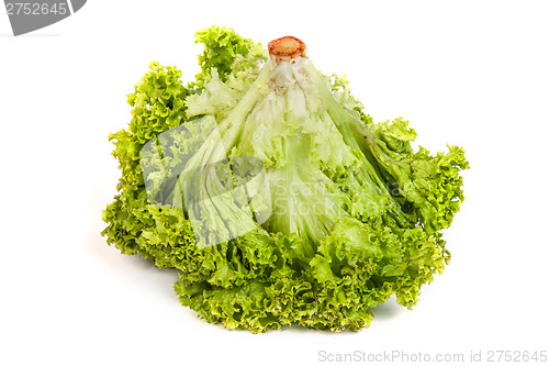 Image of Fresh Green Lettuce isolated on white