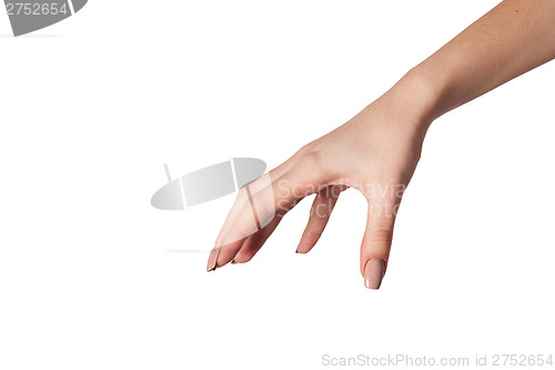 Image of Female hand reaching for something on white