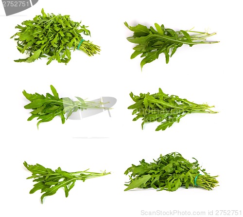 Image of set of Arugula/rucola  fresh heap leaf on white