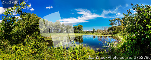 Image of Panorama of summer morning lake