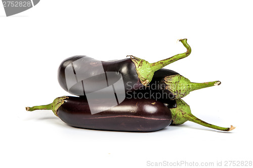 Image of Three large eggplant, over white background