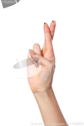 Image of Crossed fingers symbolizing good luck isolated on white