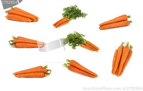 Image of set of Bunch of fresh carrots isolated on white
