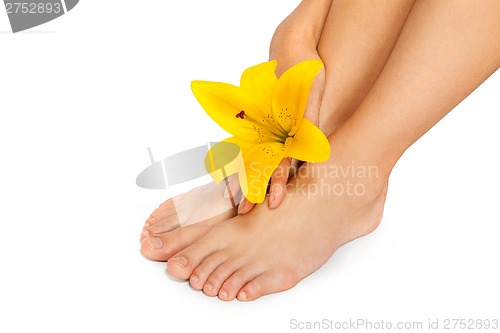 Image of Beautiful woman legs with flower , isolated on white