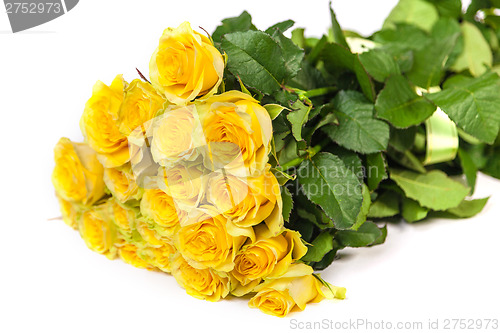 Image of Group of fresh yellow roses