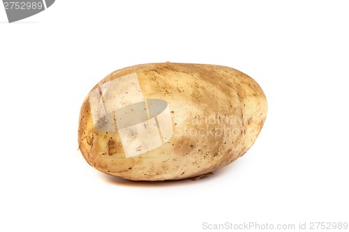 Image of One potato isolated on white