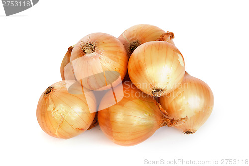 Image of Group of a onions, isolated on white