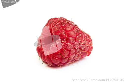 Image of Single fresh raspberry, isolated on  white. Close up macro shot