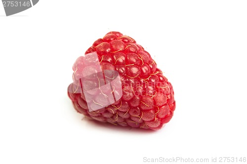 Image of Single fresh raspberry, isolated on  white. Close up macro shot