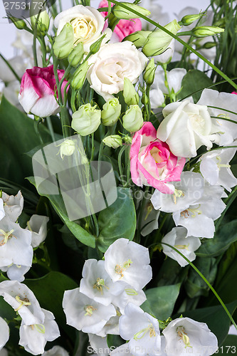 Image of spring flowers background on white background