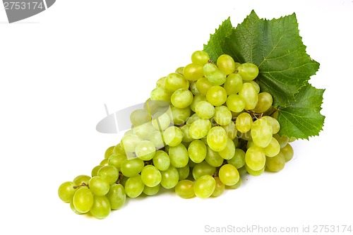 Image of Grape