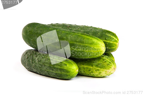 Image of Five Fresh Cucumbers isolated on white