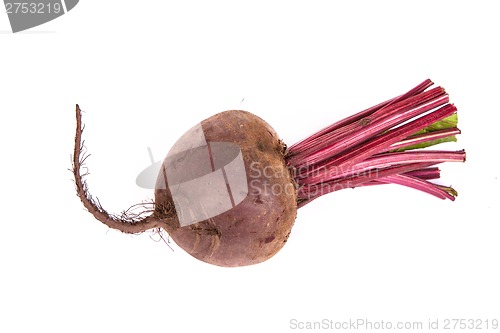 Image of Fresh red beet isolated on  white