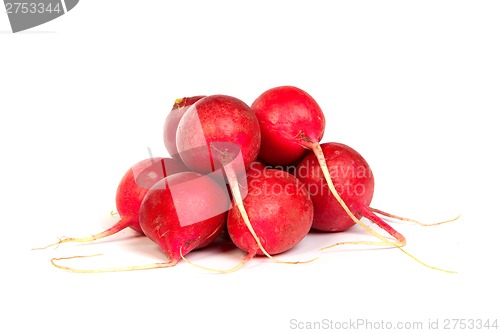 Image of A bunch of fresh radishes isolated on white