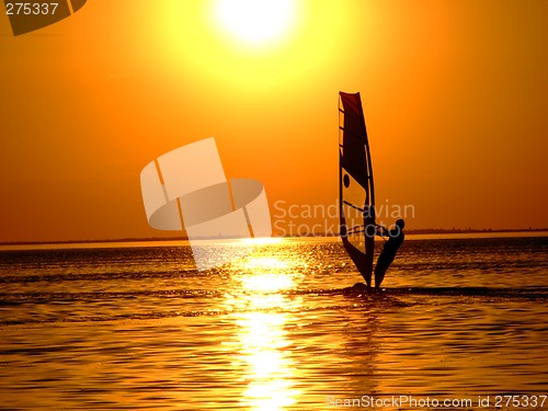 Image of Silhouette of a windsurfer on waves of a gulf on a sunset