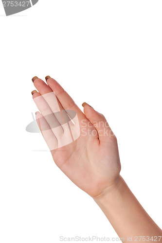 Image of Female palm hand gesture, isolated on white