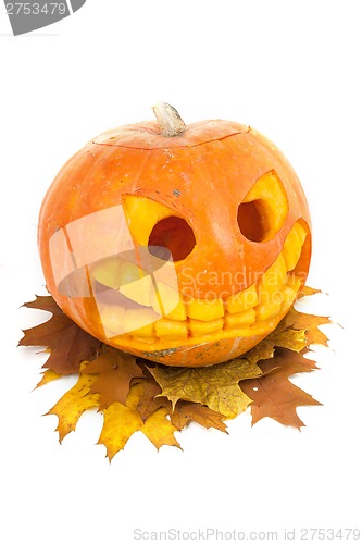 Image of Halloween pumpkin