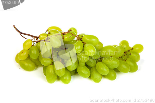 Image of Bunch of Green Grapes laying isolated