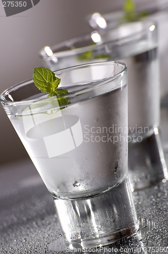 Image of vodka