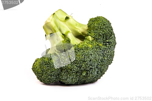 Image of Single broccoli floret isolated on white