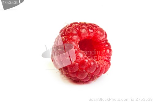 Image of Single fresh raspberry, isolated on  white. Close up macro shot