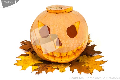Image of Halloween pumpkin