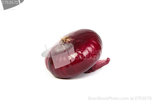 Image of One red onion, isolated on white